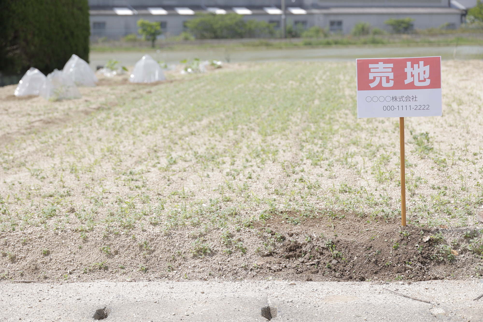 注文住宅の土地探しはどうすればいい？コツや注意点、流れを紹介！
